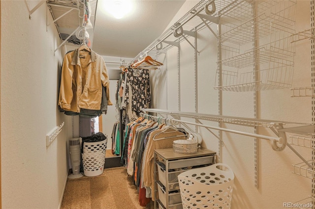 216 Rainbow Ridge Rd, Canon City, CO 81212 - walk in closet with carpet flooring