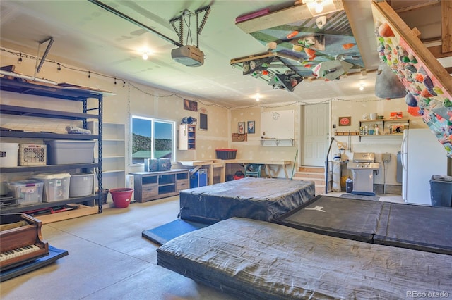 216 Rainbow Ridge Rd, Canon City, CO 81212 - garage featuring freestanding refrigerator and a garage door opener