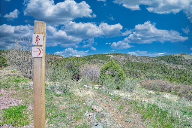 216 Rainbow Ridge Rd, Canon City, CO 81212 - view of mountain background