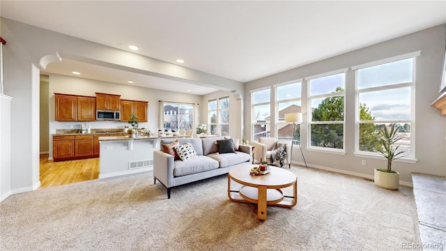 carpeted living room featuring plenty of natural light