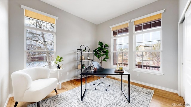 office space featuring hardwood / wood-style floors