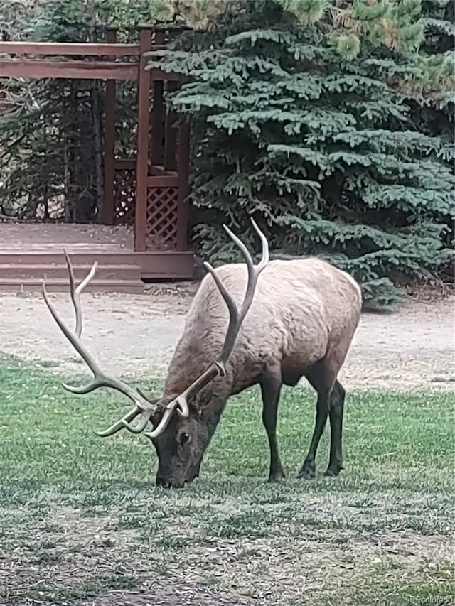 1400 David Dr Unit 1, Estes Park, CO 80517 - view of exterior details