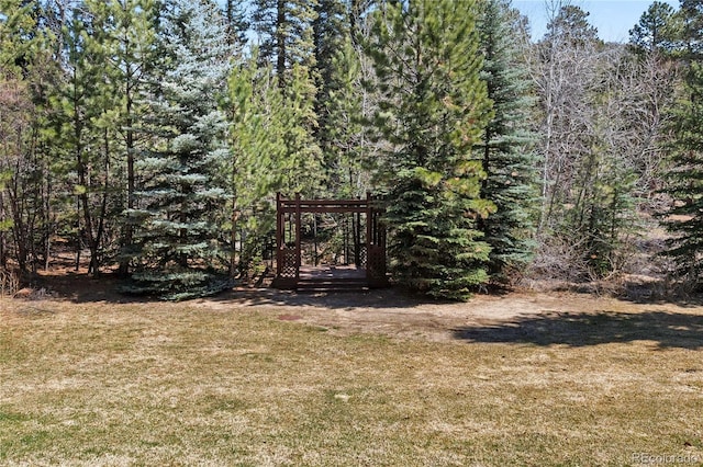 1400 David Dr Unit 1, Estes Park, CO 80517 - view of yard featuring a wooded view