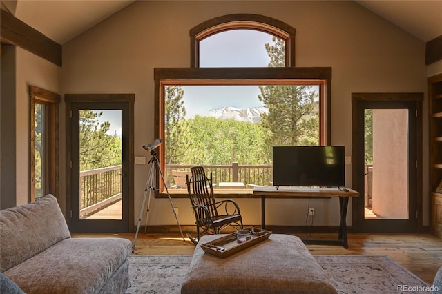 living area with plenty of natural light, hardwood / wood-style flooring, and high vaulted ceiling