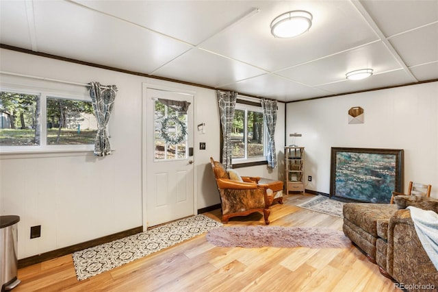 53 Iris Rd, Woodland Park, CO 80863 - photo 11