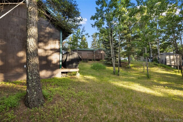 53 Iris Rd, Woodland Park, CO 80863 - photo 29