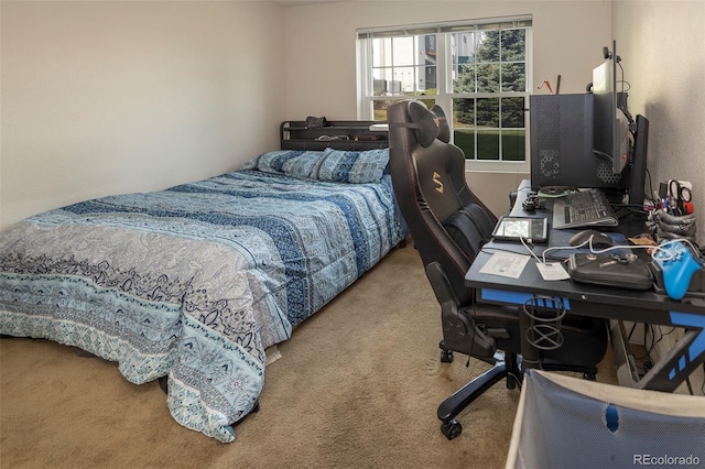 12208 W Dorado Pl Unit 102, Littleton, CO 80127 - photo 17