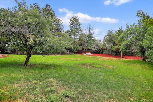 5466 W Indore Dr, Littleton, CO 80128 - photo 6