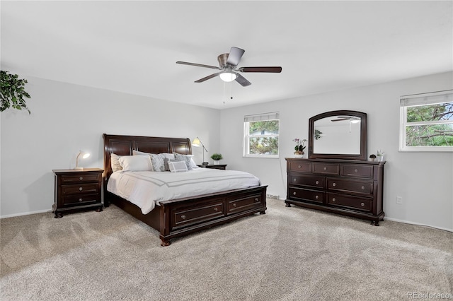 5466 W Indore Dr, Littleton, CO 80128 - photo 29