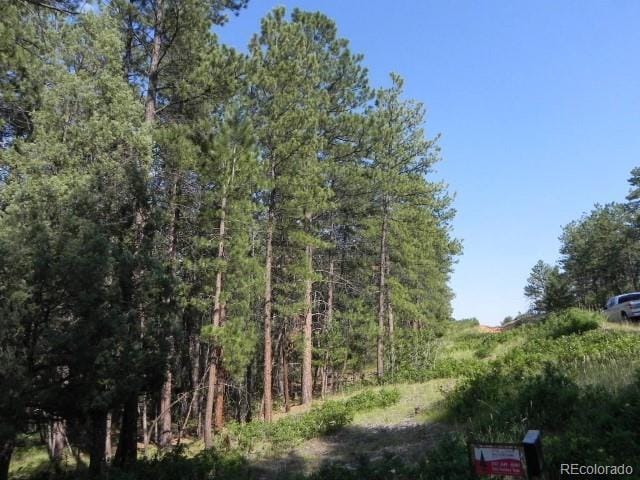 4415 Elati Rd, Larkspur CO, 80118 land for sale