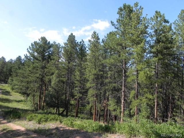 Listing photo 2 for 4415 Elati Rd, Larkspur CO 80118