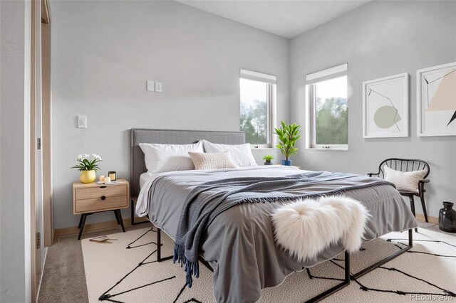 32 Trailside Cir Unit A, Salida, CO 81201 - bedroom with carpet floors