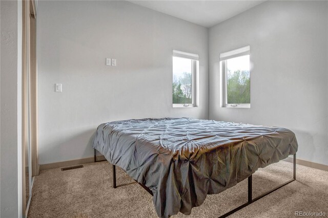 32 Trailside Cir Unit A, Salida, CO 81201 - bedroom featuring carpet flooring and baseboards