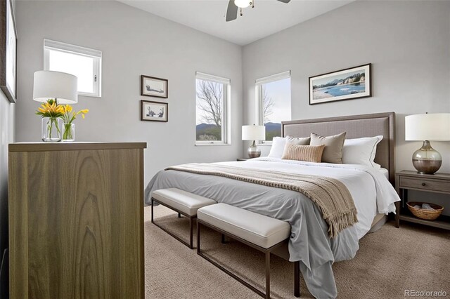 32 Trailside Cir Unit A, Salida, CO 81201 - bedroom with carpet floors and a ceiling fan