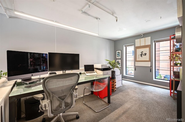 930 Acoma St Unit 106, Denver, CO 80204 - home office featuring carpet floors, rail lighting, and baseboards