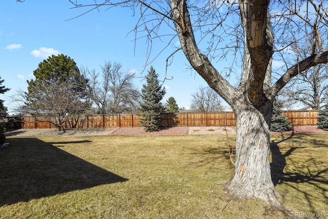 view of yard featuring a fenced backyard