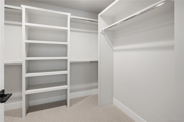 2515 N Gaylord St, Denver, CO 80205 - photo 28