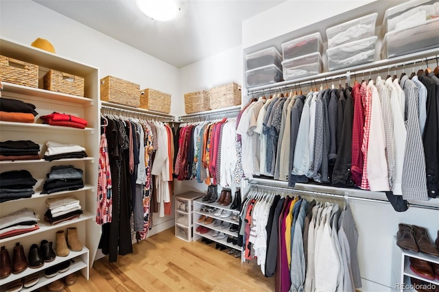 spacious closet with light wood-type flooring