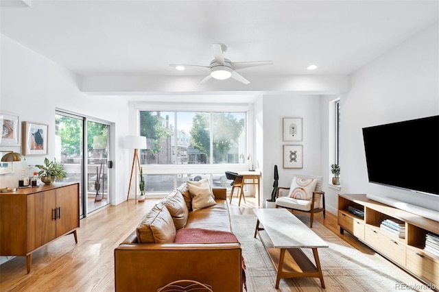 living room featuring ceiling fan and light hardwood / wood-style flooring