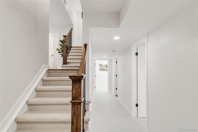 staircase featuring carpet flooring