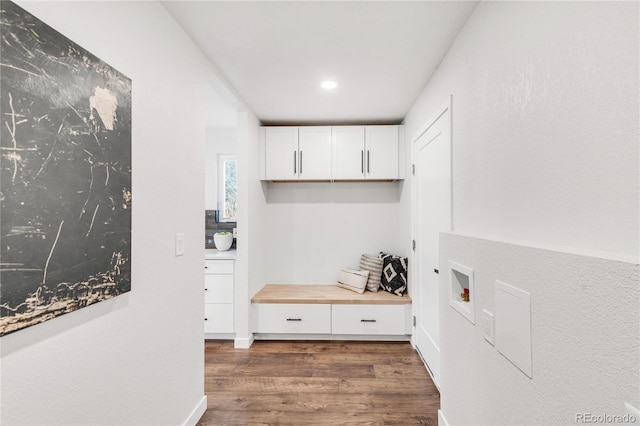 mudroom with dark hardwood / wood-style flooring