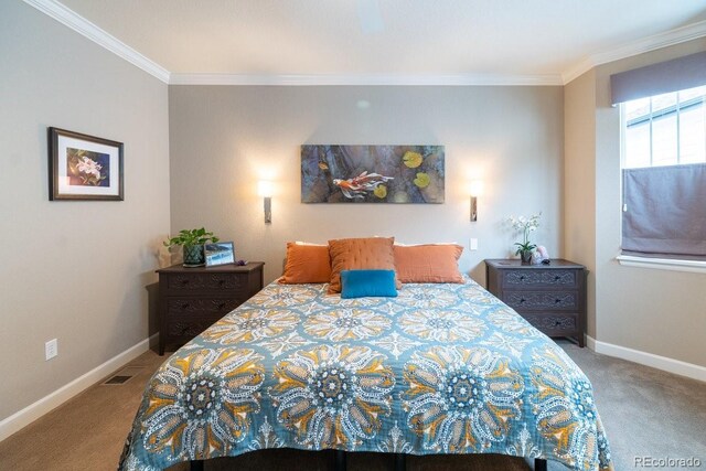 565 Pikes View Dr, Erie, CO 80516 - bedroom with crown molding, carpet floors, and baseboards