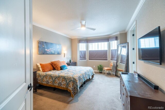 565 Pikes View Dr, Erie, CO 80516 - bedroom featuring carpet, ornamental molding, multiple windows, a textured ceiling, and a ceiling fan