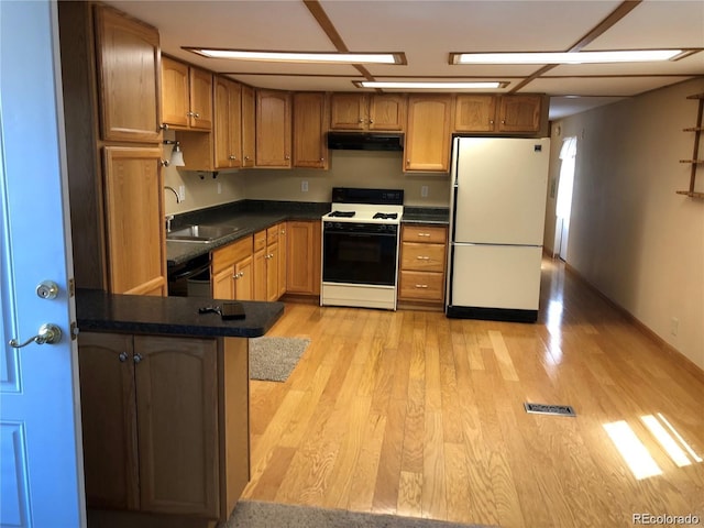 kitchen featuring kitchen peninsula, light hardwood / wood-style floors, white appliances, and sink