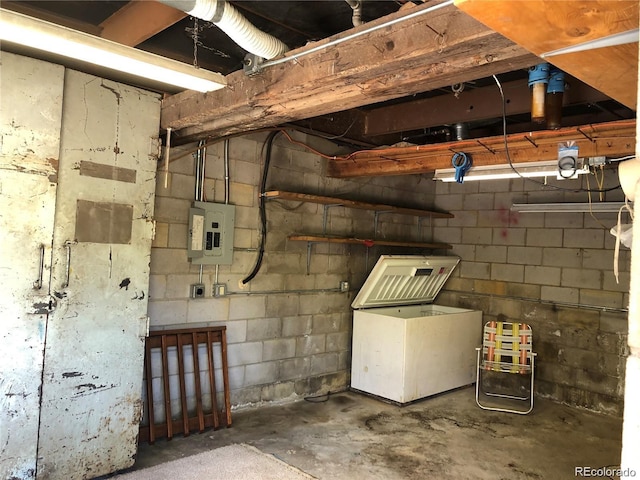 basement featuring electric panel