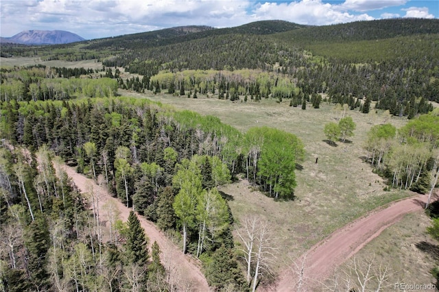 3107 Henderson Dr, Fort Garland CO, 81133 land for sale