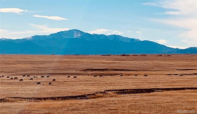 7992 Buckskin Ranch Vw, Peyton, CO 80831
