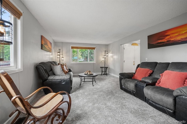 1753 S Robb St, Denver, CO 80232 - photo 4
