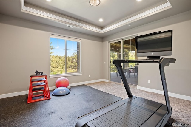 1803 Avenida Del Sol, Castle Rock, CO 80104 - workout area featuring a raised ceiling, recessed lighting, and carpet flooring