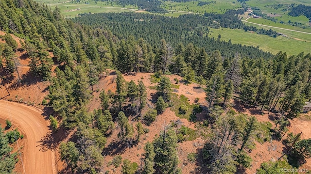 13464 Deer Ridge Way, Larkspur, CO 80118