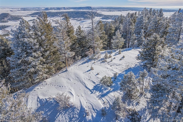 13464 Deer Ridge Way, Larkspur, CO 80118