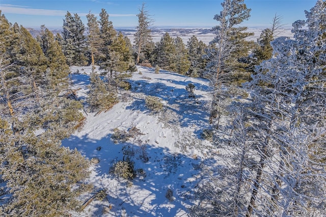 13464 Deer Ridge Way, Larkspur, CO 80118