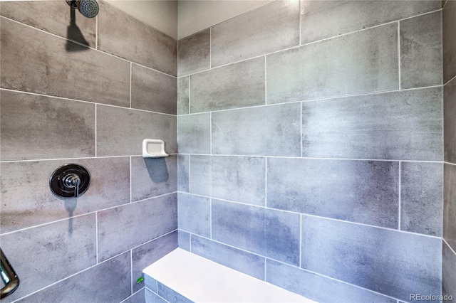 23931 E 40th Ave, Aurora, CO 80019 - bathroom view of a tile shower