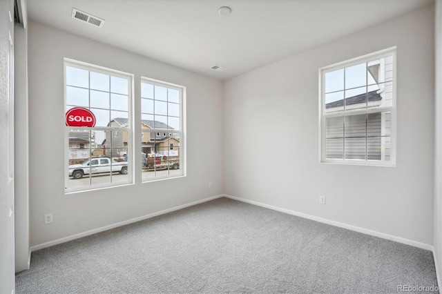 unfurnished room featuring carpet floors and plenty of natural light