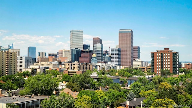 800 Pearl St Unit 1010, Denver, CO 80203 - skyline view
