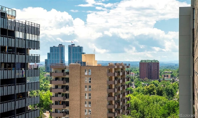 800 Pearl St Unit 1010, Denver, CO 80203 - view of city