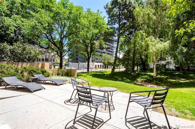800 Pearl St Unit 1010, Denver, CO 80203 - view of patio / terrace