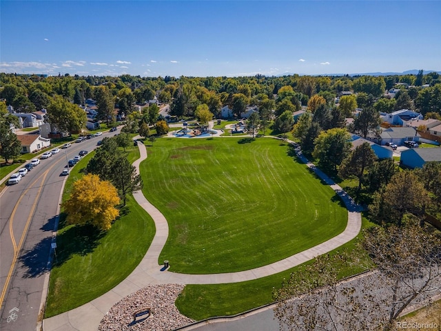 bird's eye view