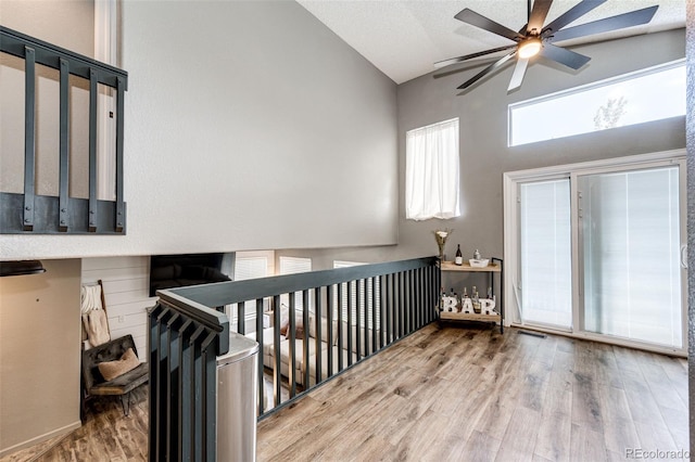 8930 Apache Plume Dr, Parker, CO 80134 - hall with wood finished floors and lofted ceiling