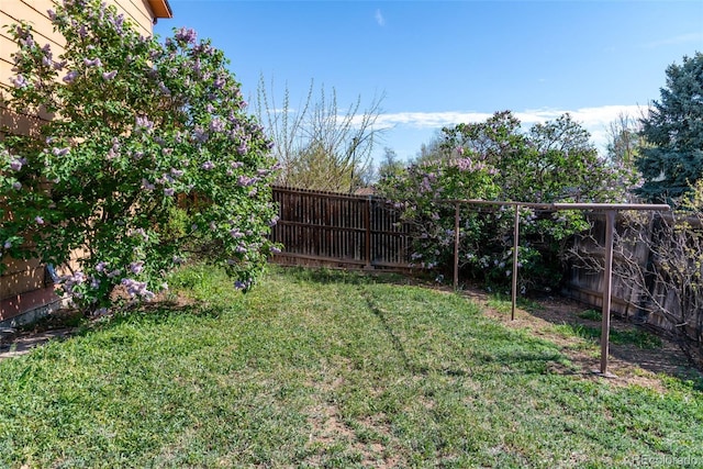 view of yard with a fenced backyard