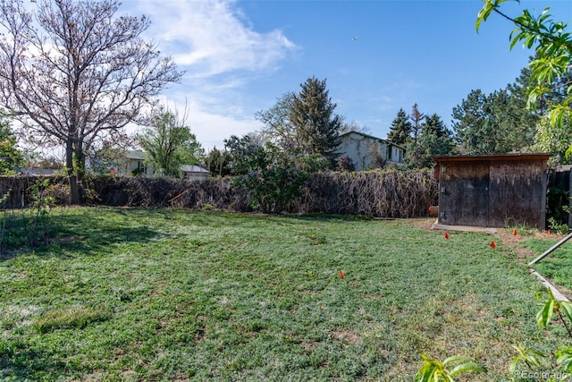 view of yard with a storage unit, an outdoor structure, and a fenced backyard