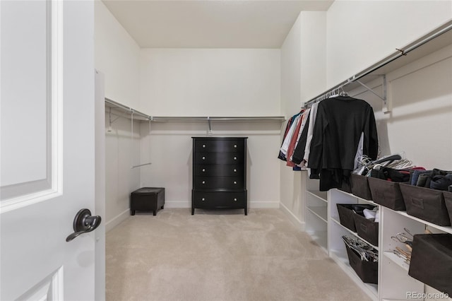 walk in closet featuring carpet floors