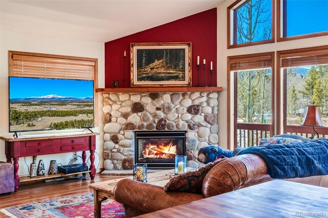 16 Thurber Ct, Fairplay, CO 80440 - living area with wood finished floors, a fireplace, and vaulted ceiling