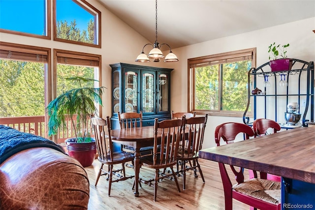 16 Thurber Ct, Fairplay, CO 80440 - dining area featuring a wealth of natural light, lofted ceiling, and wood finished floors