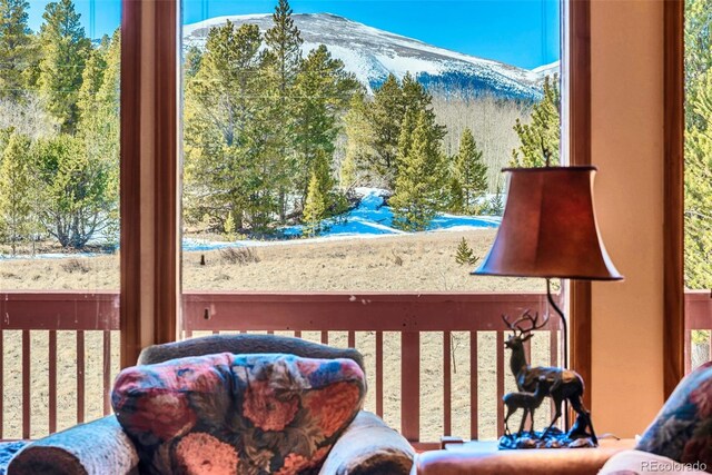 16 Thurber Ct, Fairplay, CO 80440 - exterior space featuring a mountain view