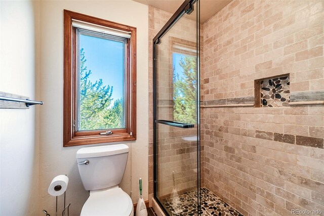 16 Thurber Ct, Fairplay, CO 80440 - full bath featuring a shower stall and toilet